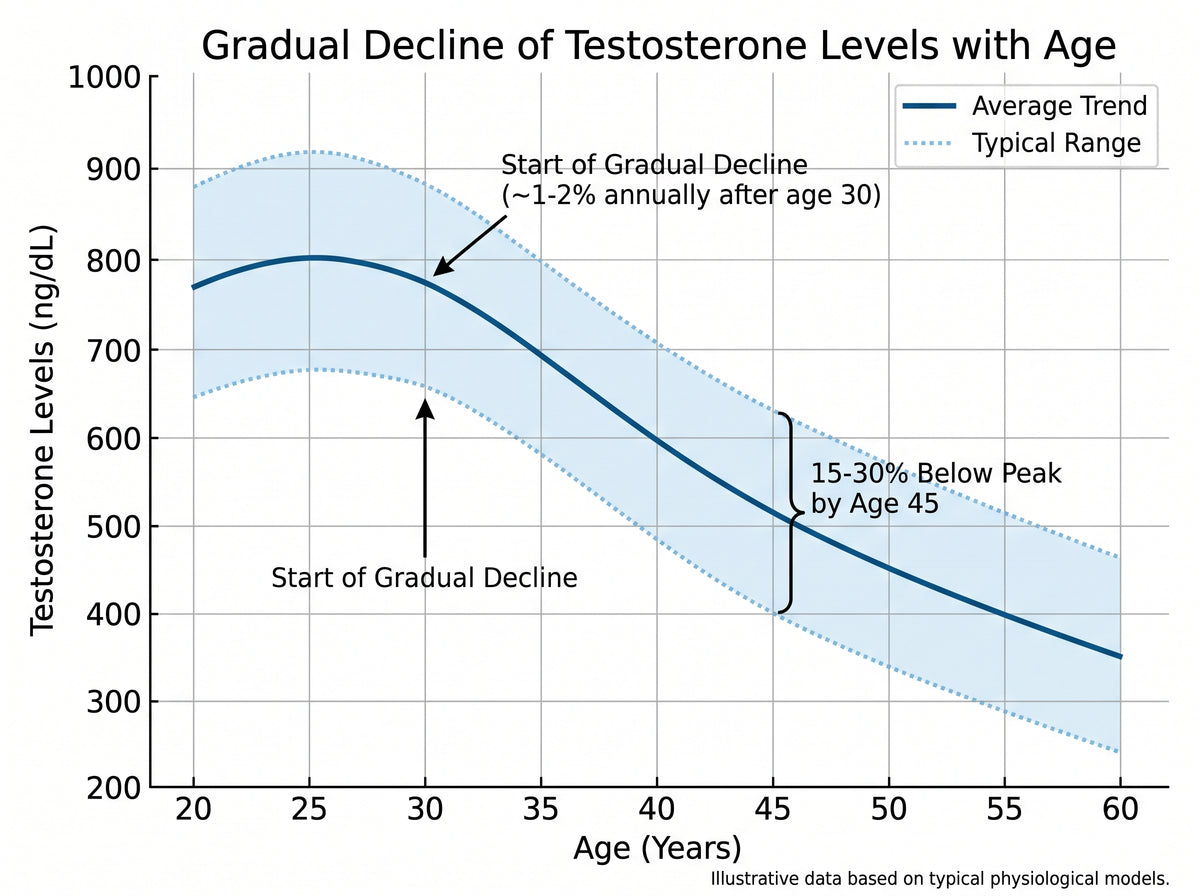 It addresses the silent decline that hits every man after 40.
