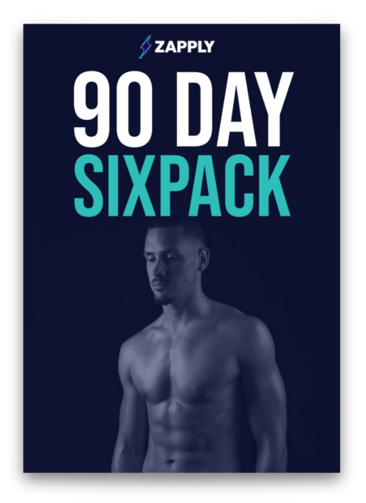 Zapply TestoFles - RVS - 500 ML (GESCHENK)